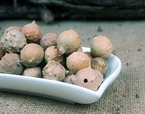 Krauterino24 - Gallen ganz -Galläpfel-, Menge:1000g von Krauterino24