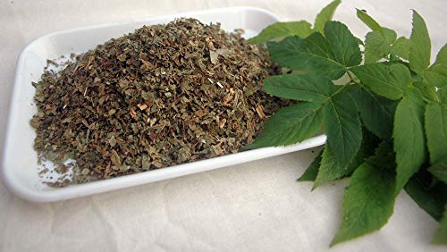 Krauterino24 - Geißfußkraut geschnitten, Menge:100g Krauterino24 - Geißfußkraut geschnitten, Menge:100g von Krauterino24