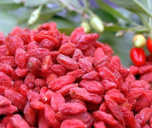 Krauterino24 - Gojibeeren ganz, Menge:1000g Krauterino24 - Gojibeeren ganz, Menge:1000g von Krauterino24