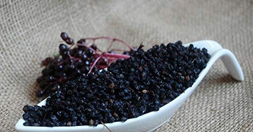 Krauterino24 - Holunderbeeren ganz, Menge:500g Krauterino24 - Holunderbeeren ganz, Menge:500g von Krauterino24
