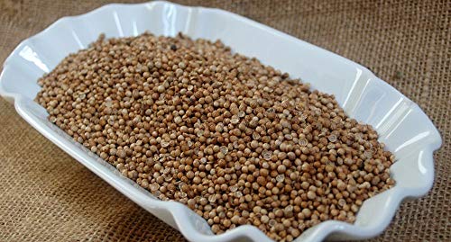 Krauterino24 - Koriander ganz, Menge:100g Krauterino24 - Koriander ganz, Menge:100g von Krauterino24