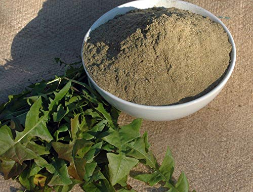 Krauterino24 - Löwenzahnblätter gemahlen, Menge:500g Krauterino24 - Löwenzahnblätter gemahlen, Menge:500g von Krauterino24