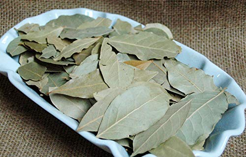 Krauterino24 - Lorbeerblätter ganz Handverlesen, Menge:100g Krauterino24 - Lorbeerblätter ganz Handverlesen, Menge:100g von Krauterino24