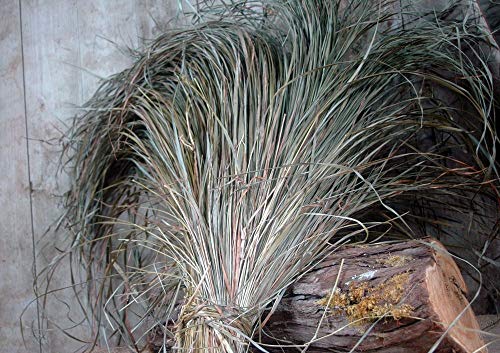 Krauterino24 - Mariengras ganz, Menge:1000g Krauterino24 - Mariengras ganz, Menge:1000g von Krauterino24