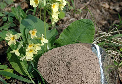 Krauterino24 - Primelwurzel Schlüsselblumenwurzel gemahlen, Menge:1000g von Krauterino24