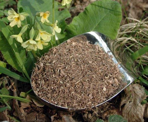 Krauterino24 - Primelwurzel Schlüsselblumenwurzel geschnitten, Menge:1000g von Krauterino24