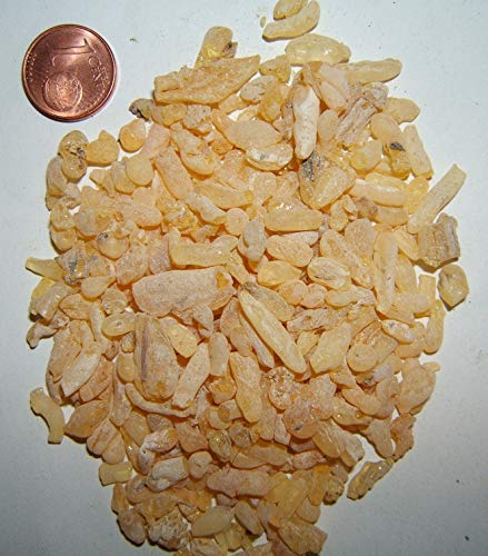 Krauterino24 - Sandarak Tränen, Menge:500g Krauterino24 - Sandarak Tränen, Menge:500g von Krauterino24