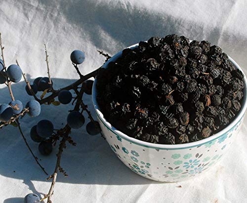 Krauterino24 - Schlehdornfrüchte ganz Schlehen, Menge:100g Krauterino24 - Schlehdornfrüchte ganz Schlehen, Menge:100g von Krauterino24
