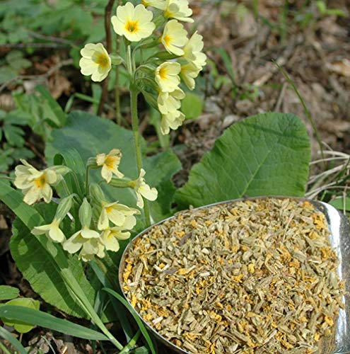 Krauterino24 - Schlüsselblumen m. Kelch geschnitten, Menge:1000g von Krauterino24