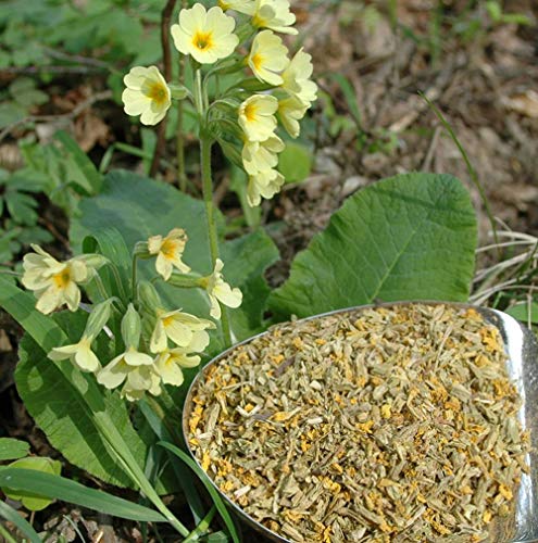 Krauterino24 - Schlüsselblumen m. Kelch geschnitten, Menge:250g Krauterino24 - Schlüsselblumen m. Kelch geschnitten, Menge:250g von Krauterino24