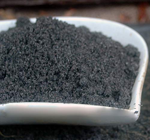 Krauterino24 - Schwarzkümmel gemahlen, Menge:1000g Krauterino24 - Schwarzkümmel gemahlen, Menge:1000g von Krauterino24