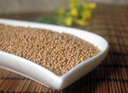 Krauterino24 - Senfsaat Gelbsenf ganz, Menge:500g Krauterino24 - Senfsaat Gelbsenf ganz, Menge:500g von Krauterino24