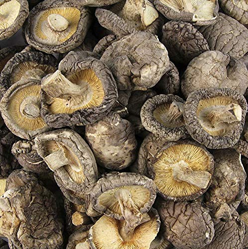 Shiitake Pilze, Tongu, kleine Kalibrierung ø 3cm, Zhong-Hon-Gu, 1 kg von Kreyenhop