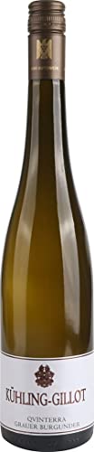 Weingut Kühling-Gillot Qvinterra Grauer Burgunder Weißwein trocken - Qualitätswein aus Rheinhessen (1 x 0.75l) von Kühling-Gillot