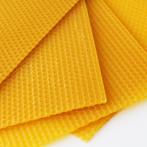 L'Abella Mel - Natürliche und handgefertigte Kerze aus 100% Bienenwachs, handgefertigt | Packung mit 8 Kerzen. Enthält 8u von 17x4x15cm L'Abella Mel - Natürliche und handgefertigte Kerze aus 100% Bienenwachs, handgefertigt | Packung mit 8 Kerzen. Enthält 8u von 17x4x15cm von L'ABELLAMEL