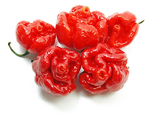 Trinidad Moruga Scorpion 106 ml. - L'albero dei golosi Trinidad Moruga Scorpion 106 ml. - L'albero dei golosi von L`albero dei golosi
