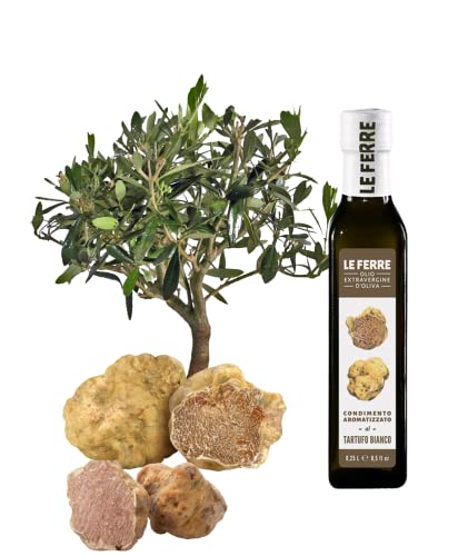 weißen Trüffelöl mit echtem weißes Trüffel 250ml Aus nativem Olivenöl extra vergin Für Saucen und zum Verfeinern Für vegane und glutenfreie Ernährung geeignet (Trüffelöl) von LA SPERANZA