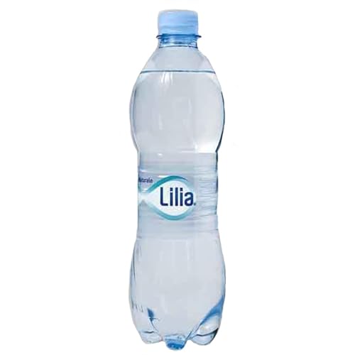 NATRLICHES WASSER 500 CL 24 FLASCHEN von Lilia