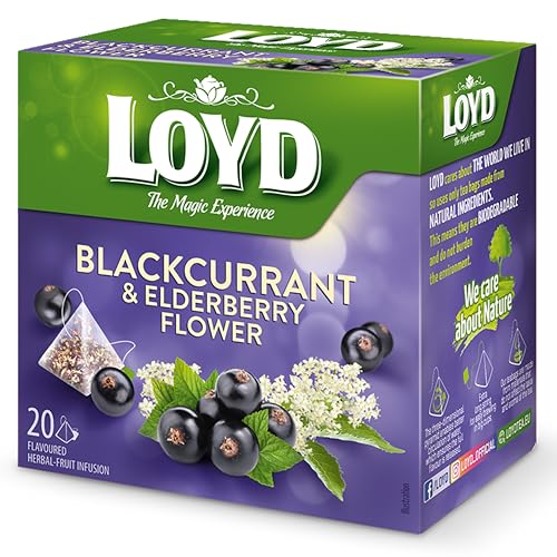 LOYD® Früchtetee Tee | 20 Teebeutel 40g | Geschmack: Schwarze Johannisbeere mit Holunderblüten | Aromatisiert Obst Frucht Früchte Fruit Tea | Hochwertigen Teeblättern Schwarzteebeutel Aufbrühen von LOYD