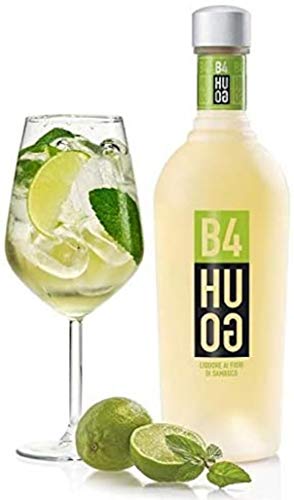 B4H LIQUORE AI FIORI DI SAMBUCO 70 CL von SANQIZ