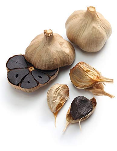 Schwarzer Knoblauch fermentiert aus Spanien - ganze Knollen - 1 Stück bis 1kg lose (1000g) Schwarzer Knoblauch fermentiert aus Spanien - ganze Knollen - 1 Stück bis 1kg lose (1000g) von La Abuela Carmen