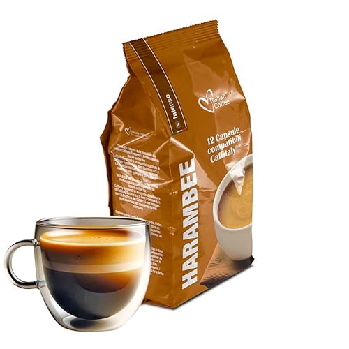 Kaffee INTENSO, stark (96 Kapseln) kompatibel mit Tchibo Cafissimo - Caffitaly - Caffitaly, Lot de 8 x 12 Capsules (96 portions tot) - la Capsuleria von La Capsuleria