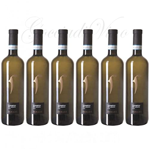 6 FALANGHINA Sannio Janare La Guardiense 75 cl. von La Guardiense