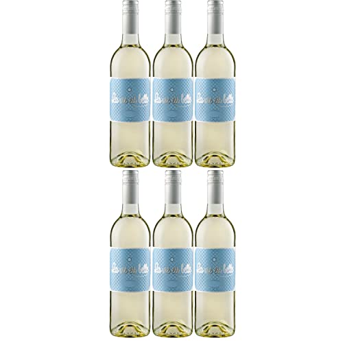 La vie est belle Blanc VdF Weißwein Wein Halbtrocken Frankreich I Visando Paket (6 Flaschen) von Poiget