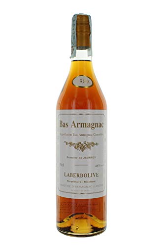 Bas Armagnac Laberdolive 1989 Cl 70 46% vol von Laberdolive