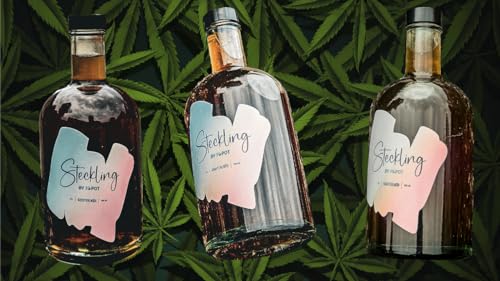 Steckling Cannabis Likör, 0,5l, Flüssige Cannabisextrakte Steckling Cannabis Likör, 0,5l, Flüssige Cannabisextrakte von Lädla Juice
