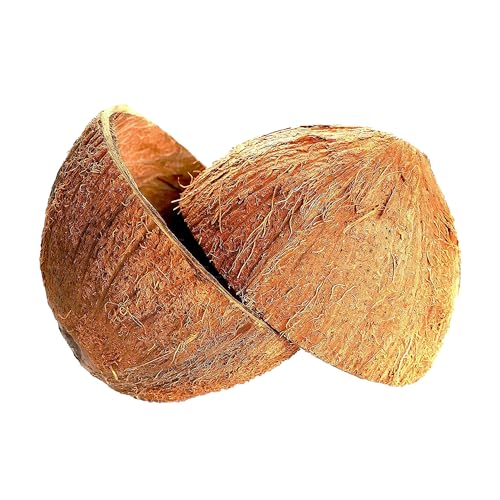 Lakpura Kokosnussschalen-Hälften (2 Stück) von Lakpura