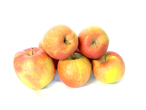 Äpfel Braeburn vom Bodensee süß-säuerlicher Apfel 1-10 KG Tafelapfel geeignet zum Backen und Kochen (1) von Lamera