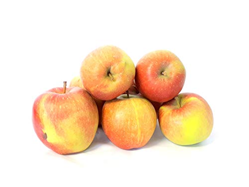 Äpfel Braeburn vom Bodensee süß-säuerlicher Apfel 1-10 KG Tafelapfel geeignet zum Backen und Kochen (8) von Lamera