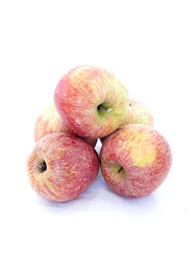Äpfel Fuji aus Deutschland/Bodensee leckerer süßer saftiger Apfel knackig und fest Speiseapfel Tafelapfel 10 KG von Lamera