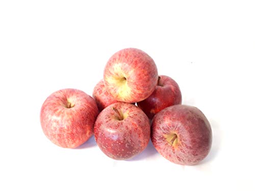 Äpfel Gala vom Bodensee süßer Apfel 1-10 KG (1) von Lamera