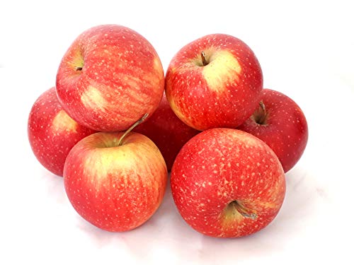 Äpfel Pinova aus Deutschland/Bodensee süß-säuerlicher Apfel saftig fest und knackig 2 KG von Lamera