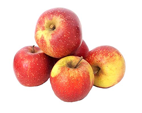 Äpfel Wellant Allergikerapfel aus Deutschland/Bodensee saftig süßer Apfel 1-10 KG (2) von Lamera