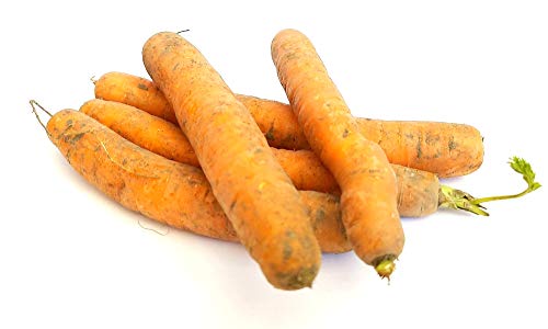 Frische Karotten Speisekarotten gelbe Rüben naturbelassen 1- 10 KG (5) von Lamera
