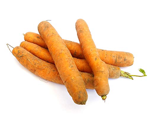 Frische Karotten Speisekarotten gelbe Rüben naturbelassen 1- 10 KG (8) von Lamera