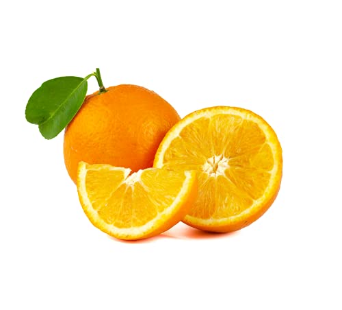 Frische Orangen Saftorangen Apfelsine saftig süß 2 KG Frische Orangen Saftorangen Apfelsine saftig süß 2 KG von Lamera