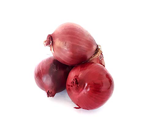 Frische rote Zwiebeln rote Speisezwiebel rote Zwiebel zum Braten, dünsten und backen 1-10 KG (10) von Lamera