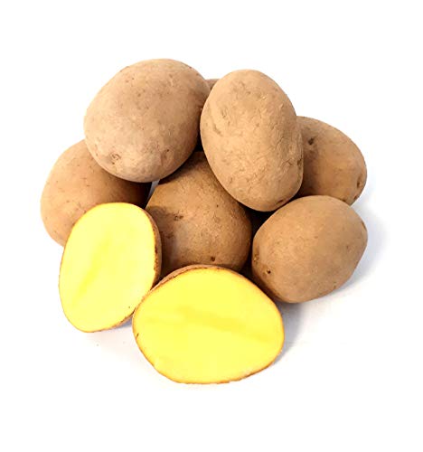 Kartoffel Afra mehlige Kartoffeln 1-25 Kg deutsche Speisekartoffel perfekt für Kartoffelsuppe, Püree, Knödel, Kroketten, Ofenkartoffeln Aufläufe Salzkartoffeln auch zum Grillen geeignet (8) Ernte 2024 Kartoffel Afra mehlige Kartoffeln 1-25 Kg deutsche Speisekartoffel perfekt für Kartoffelsuppe, Püree, Knödel, Kroketten, Ofenkartoffeln Aufläufe Salzkartoffeln auch zum Grillen geeignet (8) Ernte 2024 von Lamera
