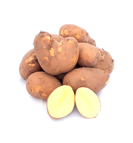 Kartoffel Belmonda deutsche Speisekartoffeln vorwiegend festkochend neue Ernte halbmehlig 1-25 KG (10) von Lamera