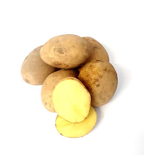 Kartoffel Sunita mehlig deutsche Speisekartoffeln frische Kartoffeln perfekt für Kartoffelsuppe, Püree, Gnocchi, Knödel, Kroketten, Ofenkartoffeln Aufläufe auch zum Grillen geeignet 1-25 KG (2) von Lamera
