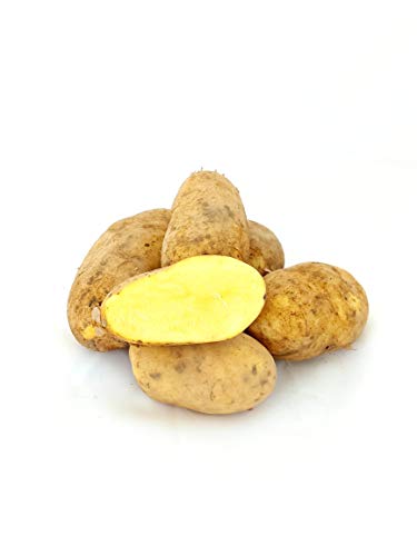 Kartoffeln Annalena festkochend aus Deutschland Bayern Speisekartoffeln perfekt geeignet für Kartoffelsalat Pellkartoffeln Pommes Frites und Bratkartoffeln (2) von Lamera