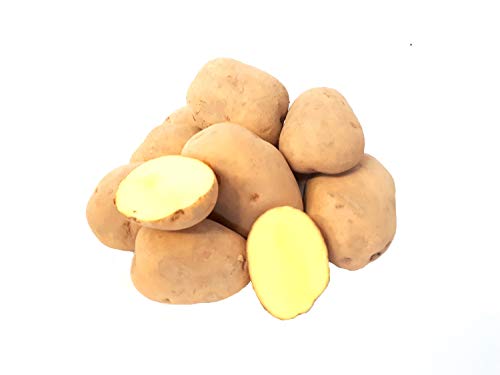Kartoffeln Belana festkochende Kartoffel deutsche Speisekartoffeln für Salzkartoffeln, Pellkartoffel, Bratkartoffeln Kartoffelauflauf, Butterkartoffeln (10) neue Ernte 2024 von Lamera