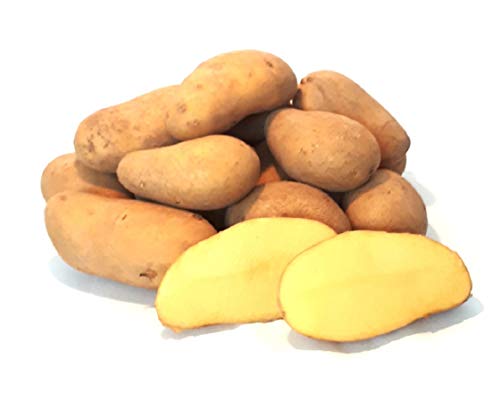 Kartoffeln Ditta festkochend aus Deutschland Bayern Speisekartoffeln perfekt geeignet für Kartoffelsalat Pellkartoffeln Pommes Frites und Bratkartoffeln(10) von Lamera