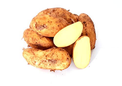 Kartoffeln Speisekartoffeln Annabelle 1-25 KG frische Ernte 2024 festkochend Salatkartoffel zum Grillen für Kartoffelsalat, Pellkartoffeln, Bratkartoffeln, Pommes Frites, Butterkartoffeln (10) von Lamera