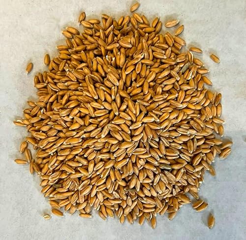 Bio-Dinkel 25 kg Landixx Gut Fahrenbach Dinkelkorn Dinkelmehl - aus kontrolliert ökologischer Landwirtschaft Bio-Dinkel 25 kg Landixx Gut Fahrenbach Dinkelkorn Dinkelmehl - aus kontrolliert ökologischer Landwirtschaft von LanDixx