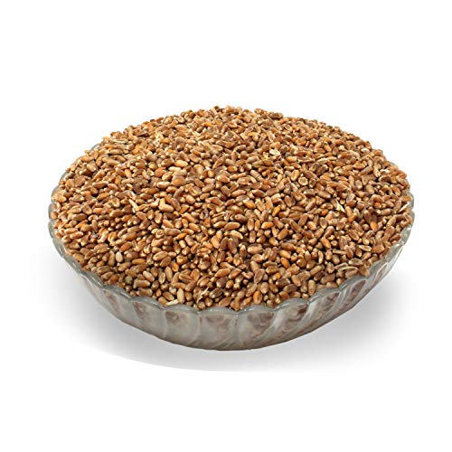 LanDixx Bio-Weizen 5kg - Landweizen aus dem Werra-Meißner Kreis - Aus kontrolliert biologischem Anbau LanDixx Bio-Weizen 5kg - Landweizen aus dem Werra-Meißner Kreis - Aus kontrolliert biologischem Anbau von LanDixx